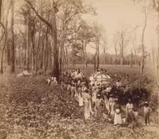 12 O'clock in the Deadening, ca. 1891. Creator: John Horgan