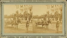 15th Amendment, or the Darkey's millenium: 40 acres of land and a mule, c1850-c1930. Creator: Unknown