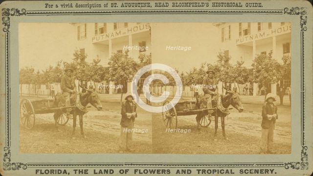 15th Amendment, or the Darkey's millenium: 40 acres of land and a mule, c1850-c1930. Creator: Unknown.