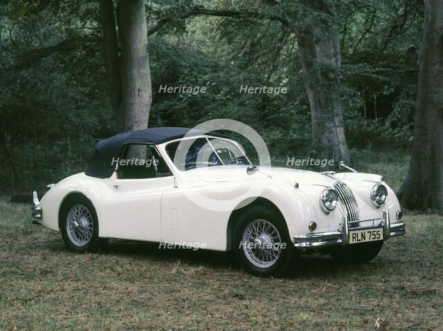 1954 Jaguar XK140 DHC Artist: Unknown.