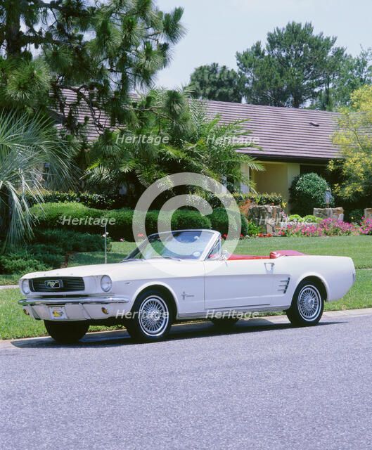 1966 Ford Mustang Convertible. Artist: Unknown.