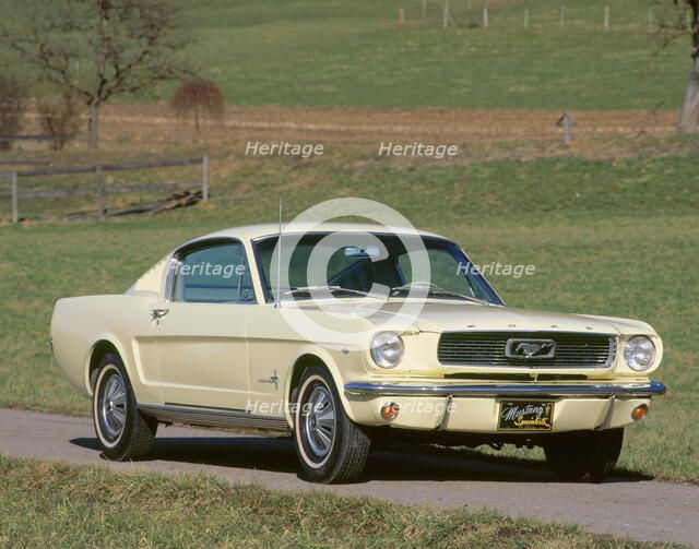 1966 Ford Mustang Fastback. Artist: Unknown.