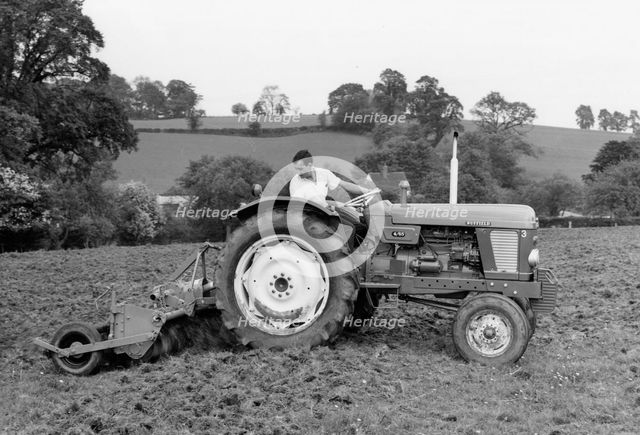 1968 BMC Nuffield 4-65 tractor. Creator: Unknown.