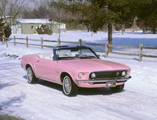 1969 Ford Mustang Playboy