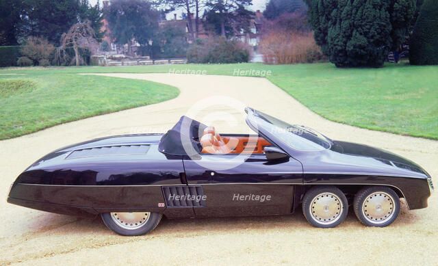 1978 Panther 6. Artist: Unknown.