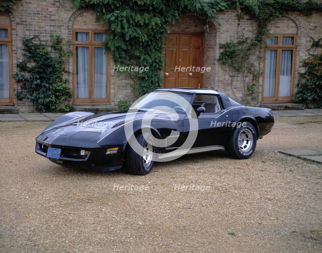 1980 Chevrolet Corvette Stingray. Artist: Unknown.