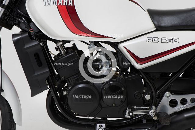 1981 Yamaha RD250 LC. Creator: Unknown.