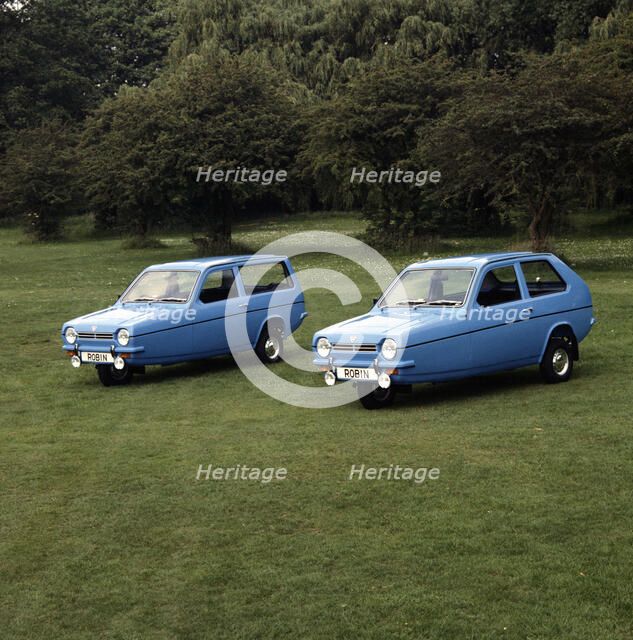 1983 Reliant Robin. Artist: Unknown