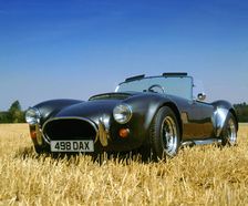 1990 Dax Cobra Tojiero