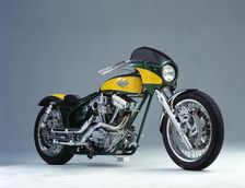 1996 BATTISTINIS Harley Davidson