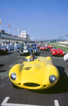 1998 Goodwood revival meeting. Jaguar D type, Martin Brundle