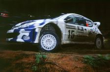 1999 Peugeot 206 WRC Network Q Rally, Gronholm