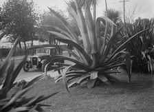 1931 Austin 16/6 on a road test, Torquay, Devon. Artist: Bill Brunell