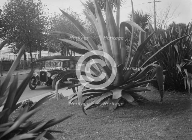 1931 Austin 16/6 on a road test, Torquay, Devon. Artist: Bill Brunell.