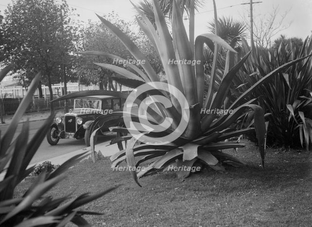 1931 Austin 16/6 on a road test, Torquay, Devon. Artist: Bill Brunell.
