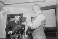 1st patient, Dog Hospital, N.Y. City, 1914. Creator: Bain News Service