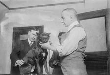 1st patient, Dog Hospital, N.Y. City, 1914. Creator: Bain News Service
