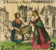 2 Bunches a Penny Primroses! Cries of London, c1840. Artist: TH Jones