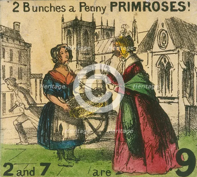 '2 Bunches a Penny Primroses!', Cries of London, c1840. Artist: TH Jones