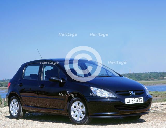 2002 Peugeot 307. Artist: Unknown.