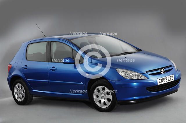 2003 Peugeot 307 Artist: Unknown.