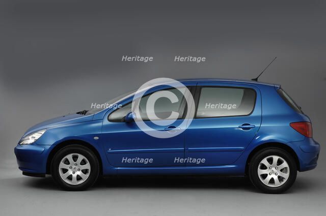 2003 Peugeot 307 Artist: Unknown.