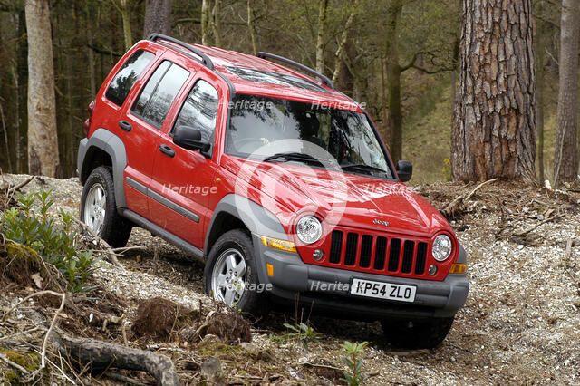 2004 Jeep Cherokee Artist: Unknown.