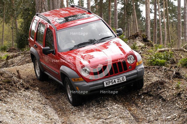 2004 Jeep Cherokee Artist: Unknown.
