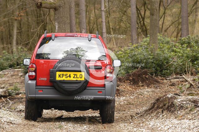 2004 Jeep Cherokee Artist: Unknown.