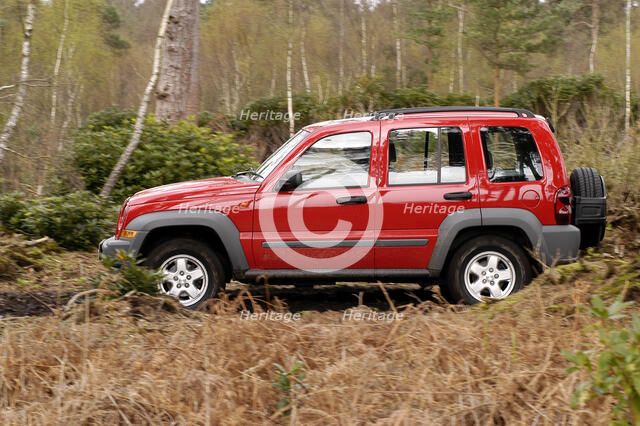 2004 Jeep Cherokee Artist: Unknown.