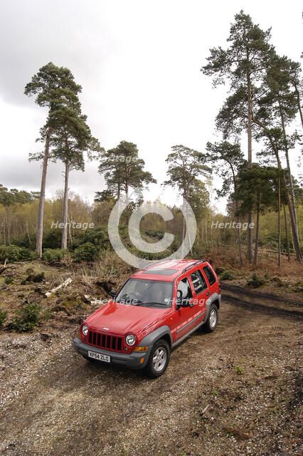 2004 Jeep Cherokee Artist: Unknown.