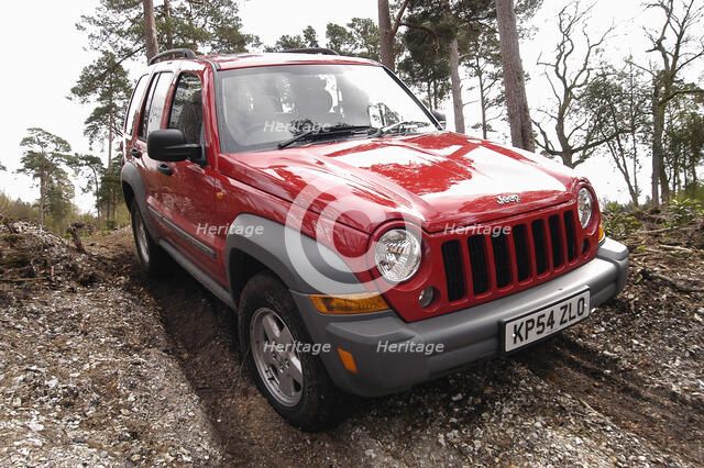 2004 Jeep Cherokee Artist: Unknown.