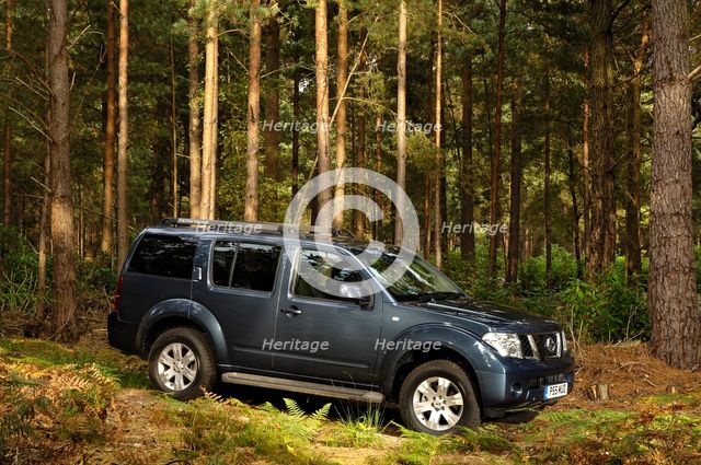 2005 Nissan Pathfinder 2.5 Tspec dci Artist: Unknown.