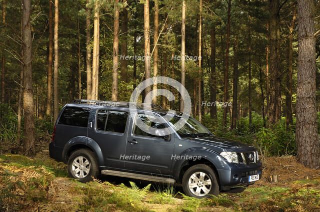 2005 Nissan Pathfinder 2.5 Tspec dci Artist: Unknown.
