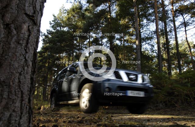2005 Nissan Pathfinder 2.5 Tspec dci Artist: Unknown.