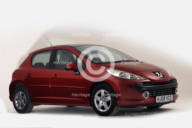 2008 Peugeot 207 Artist: Unknown.