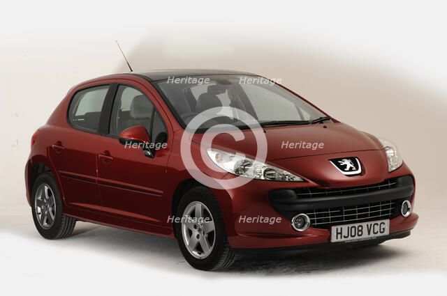 2008 Peugeot 207 Artist: Unknown.