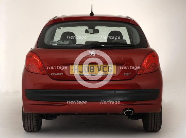 2008 Peugeot 207 Artist: Unknown.