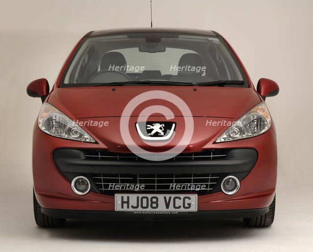 2008 Peugeot 207 Artist: Unknown.