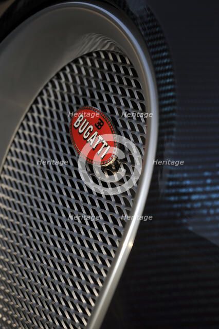 2009 Bugatti Veyron Sang Bleu Artist: Unknown.