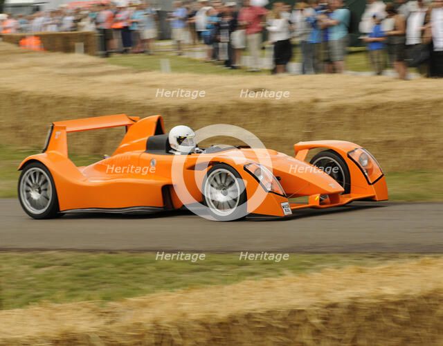 2009 Caparo T1 at 2009 Goodwood Festival of speed Artist: Unknown.
