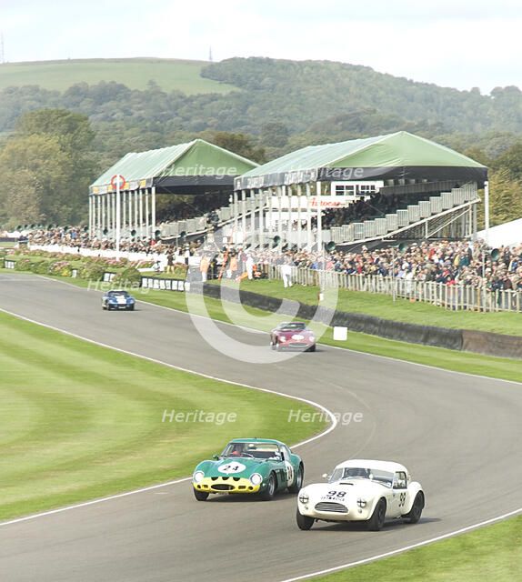 2011 Goodwood Revival Meeting historic sports car racing, Ferrari 250 GTO and AC Cobra at Madgwick Artist: Unknown.
