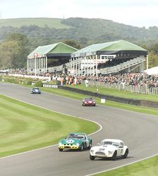 2011 Goodwood Revival Meeting historic sports car racing, Ferrari 250 GTO and AC Cobra at Madgwick