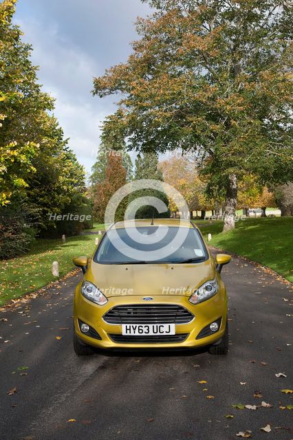 2013 Ford Fiesta Econetic Artist: Unknown.