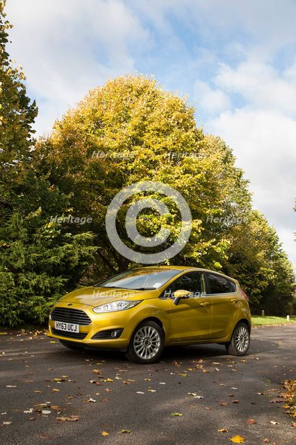 2013 Ford Fiesta Econetic Artist: Unknown.