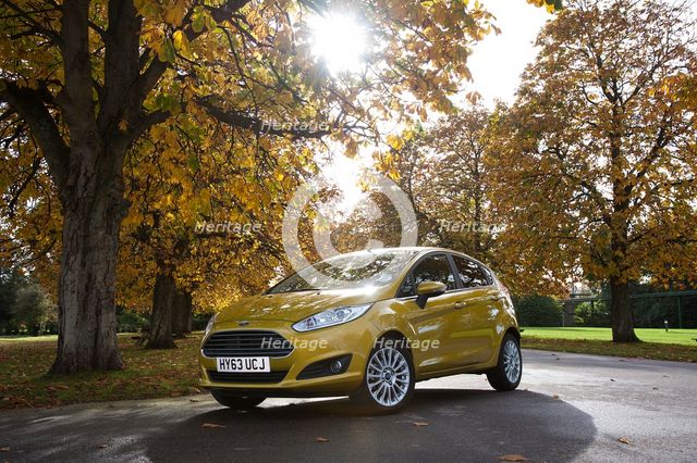 2013 Ford Fiesta Econetic Artist: Unknown.