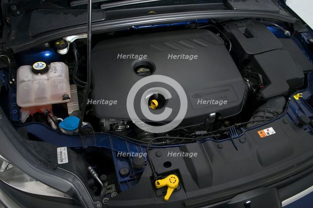 2014 Ford Focus. Creator: Unknown.