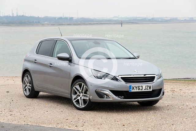 2014 Peugeot 308 THP 156 Feline Artist: Unknown.