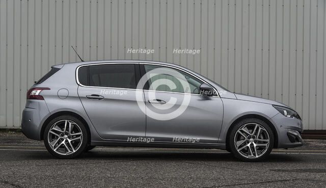 2014 Peugeot 308 THP 156 Feline Artist: Unknown.