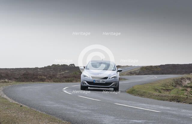 2014 Peugeot 308 THP 156 Feline Artist: Unknown.